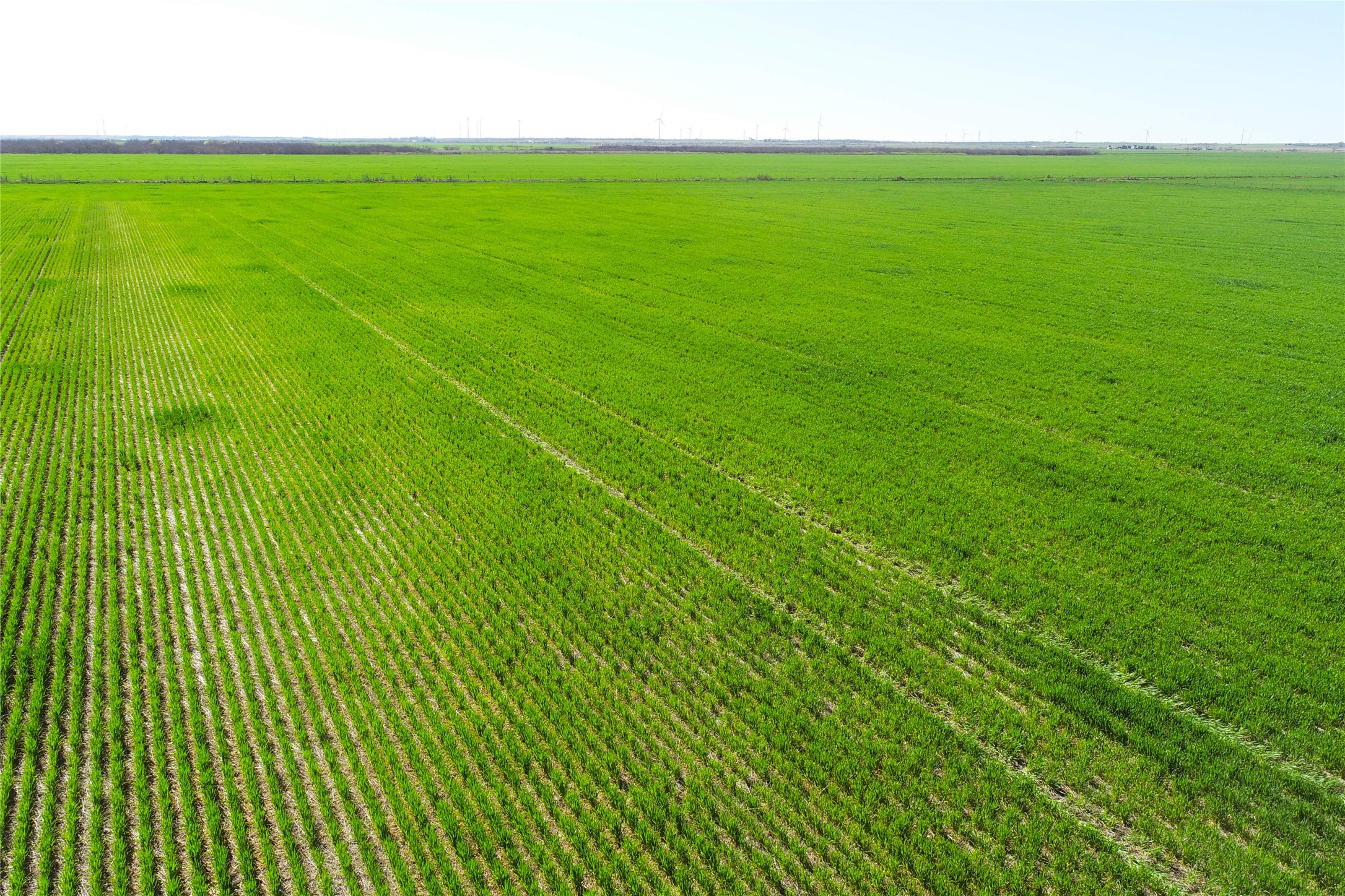 Tbd County Rd 81 S Vernon TX 76384