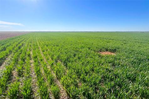 Tbd County Rd 81 S Vernon TX 76384