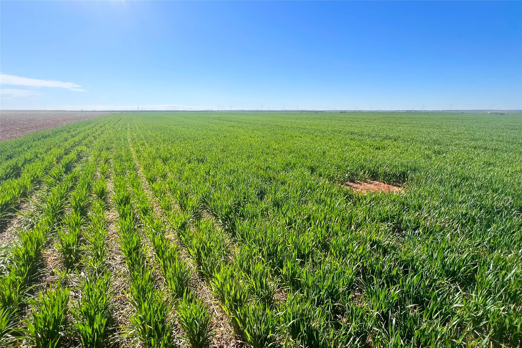 Tbd County Rd 81 S Vernon TX 76384