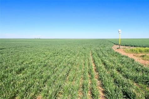 Tbd County Rd 81 S Vernon TX 76384