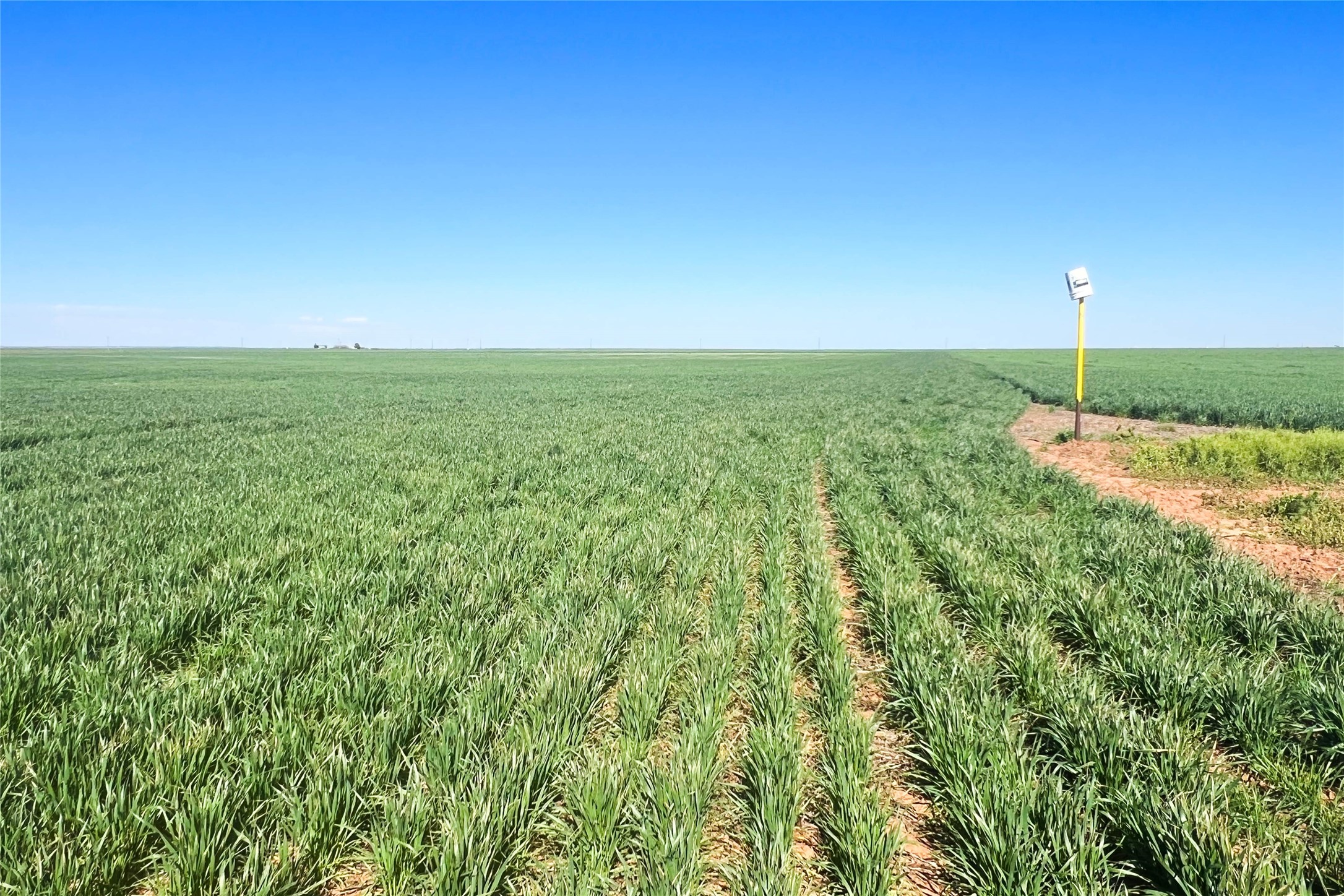 Tbd County Rd 81 S Vernon TX 76384