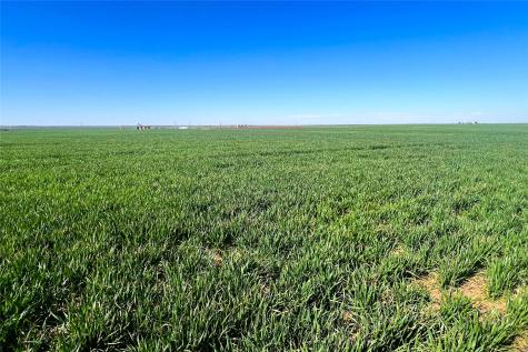 Tbd County Rd 81 S Vernon TX 76384