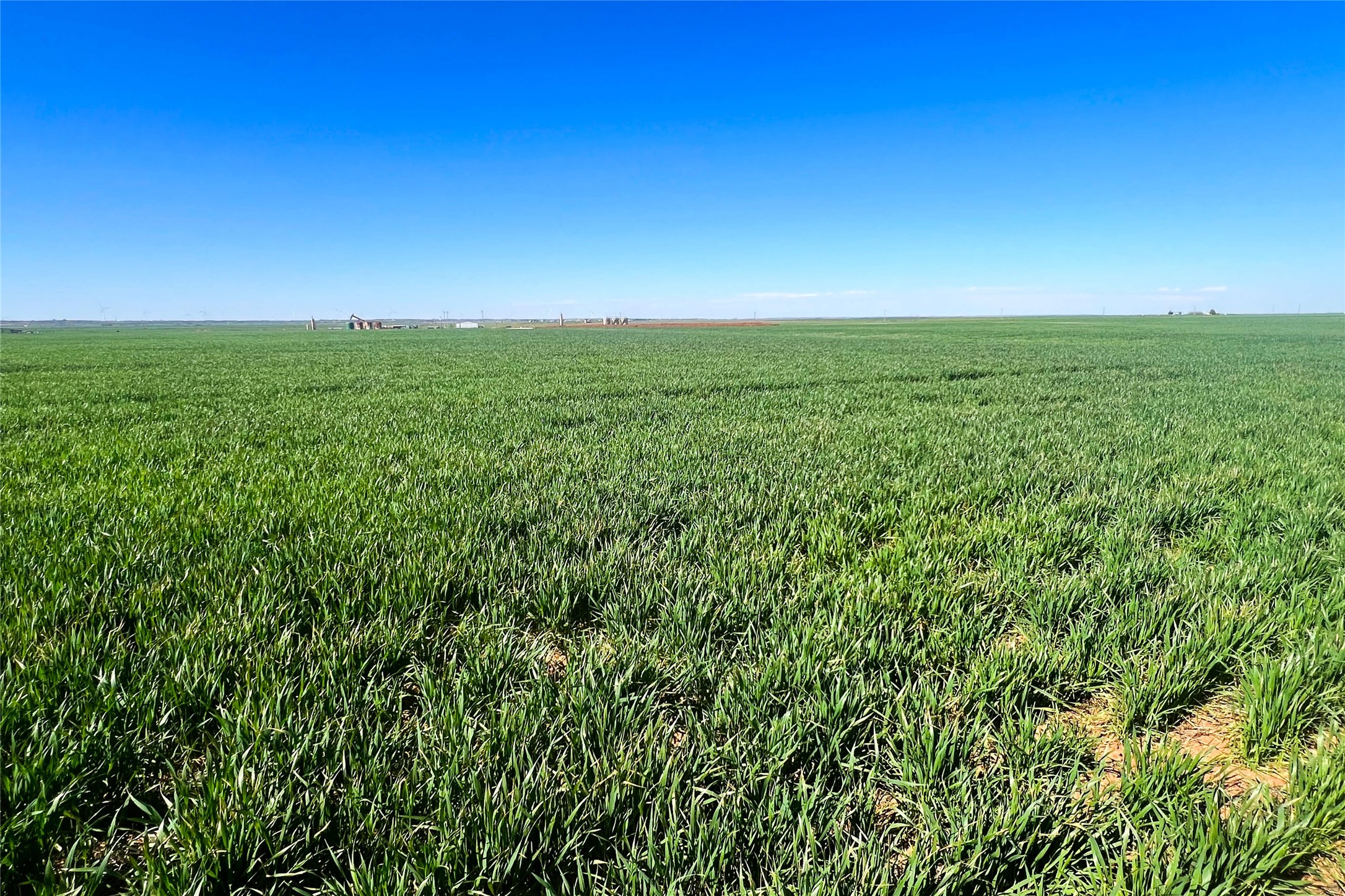 Tbd County Rd 81 S Vernon TX 76384