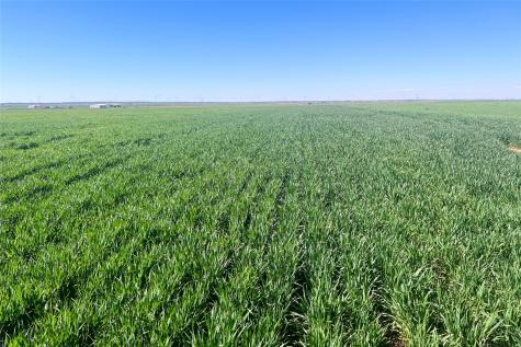 Tbd County Rd 81 S Vernon TX 76384