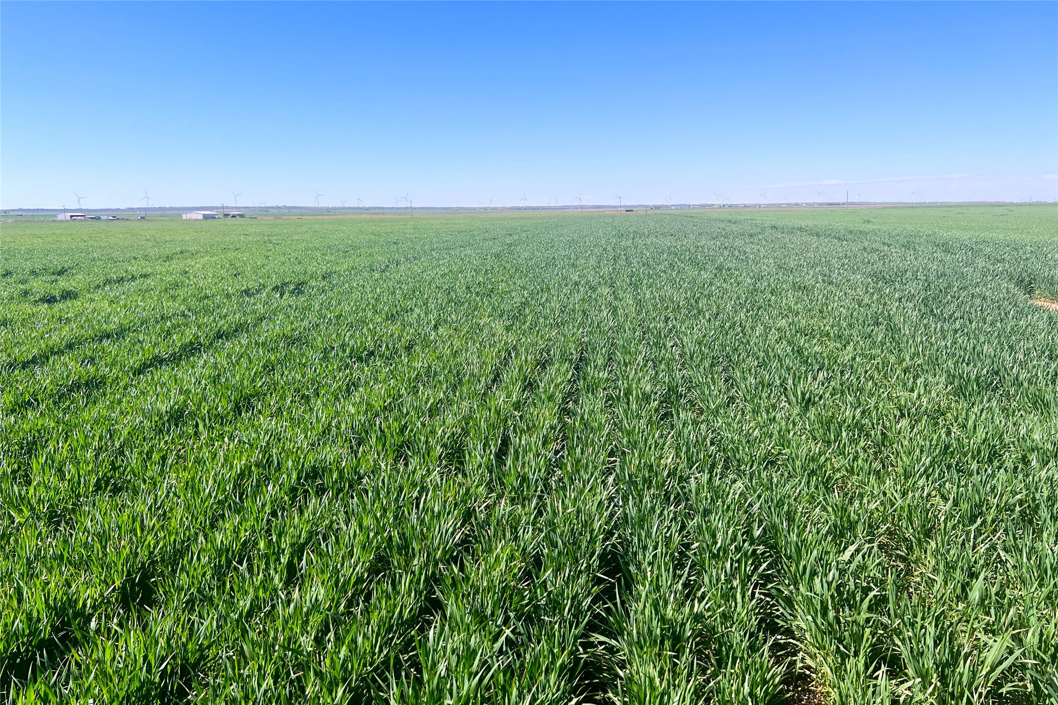Tbd County Rd 81 S Vernon TX 76384