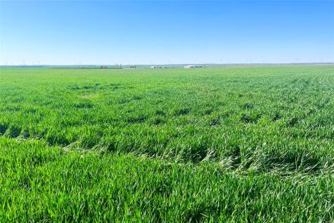 Tbd County Rd 81 S Vernon TX 76384