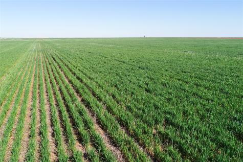 Tbd County Rd 81 S Vernon TX 76384