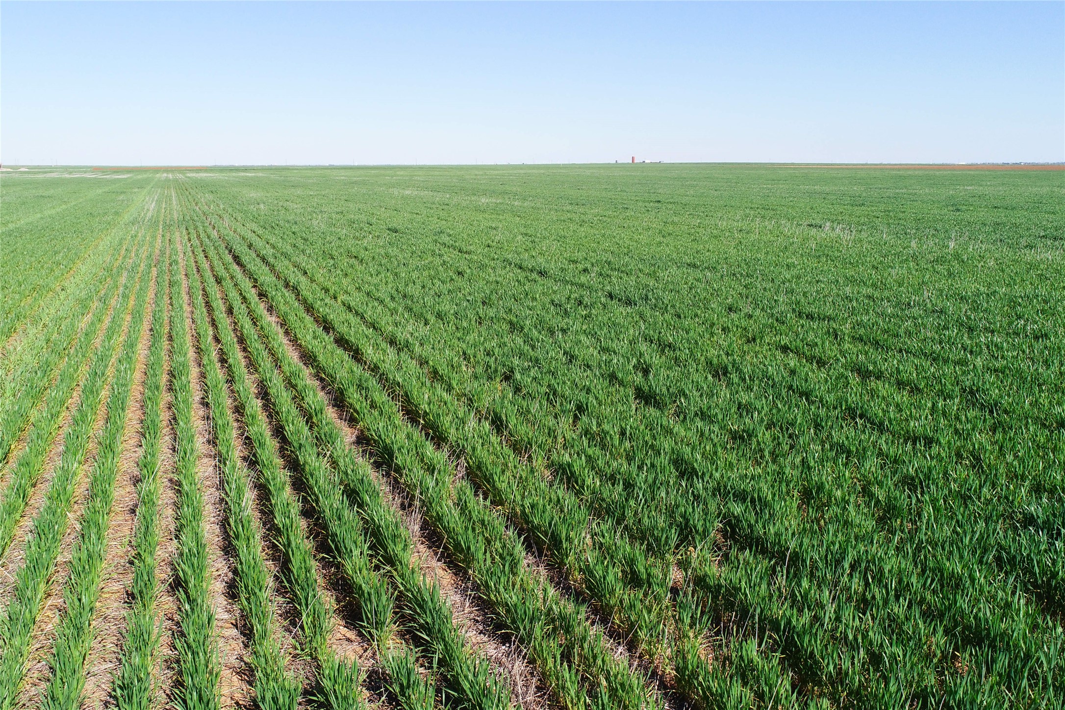 Tbd County Rd 81 S Vernon TX 76384
