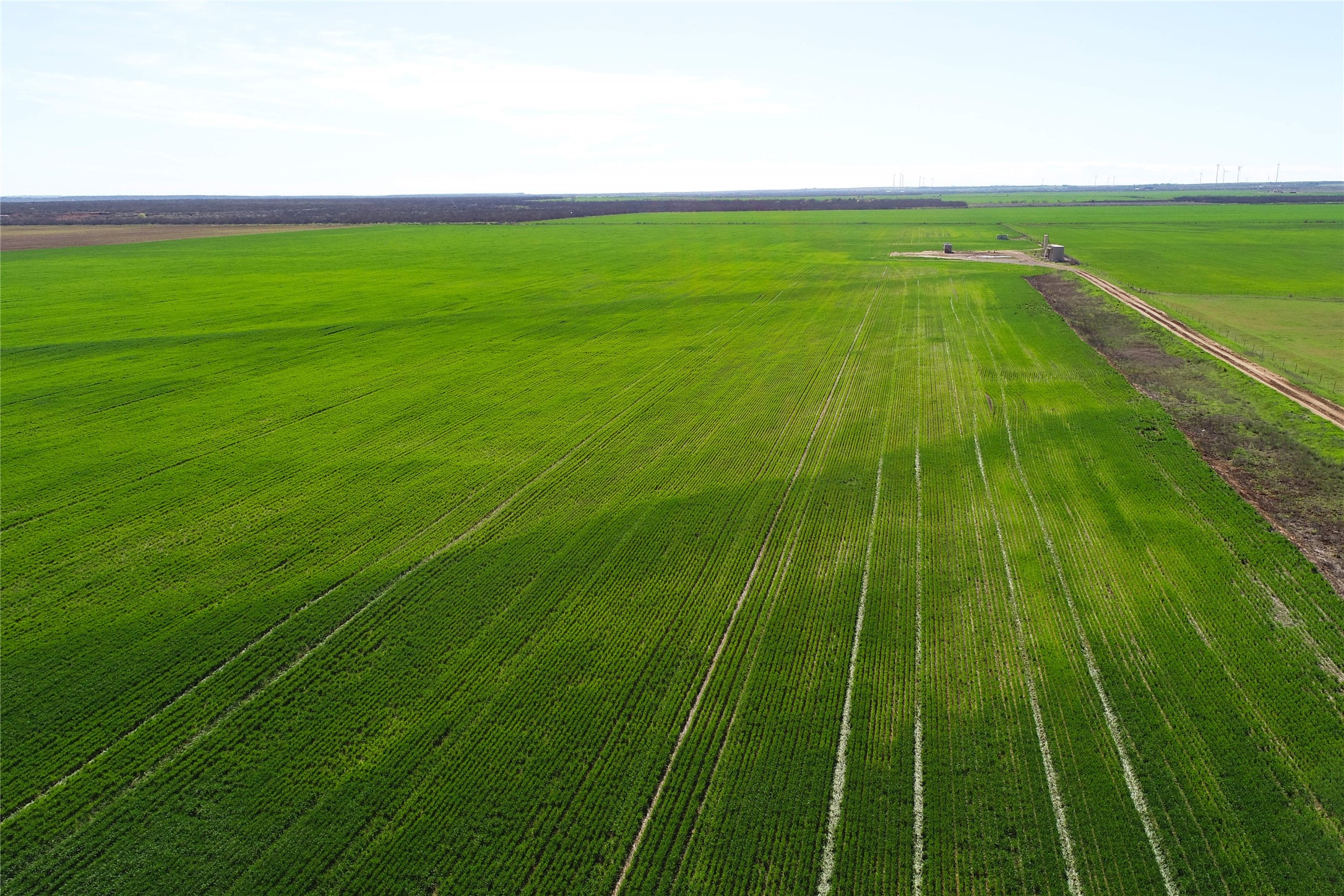 Tbd County Rd 81 S Vernon TX 76384