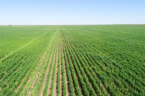 Tbd County Rd 81 S Vernon TX 76384