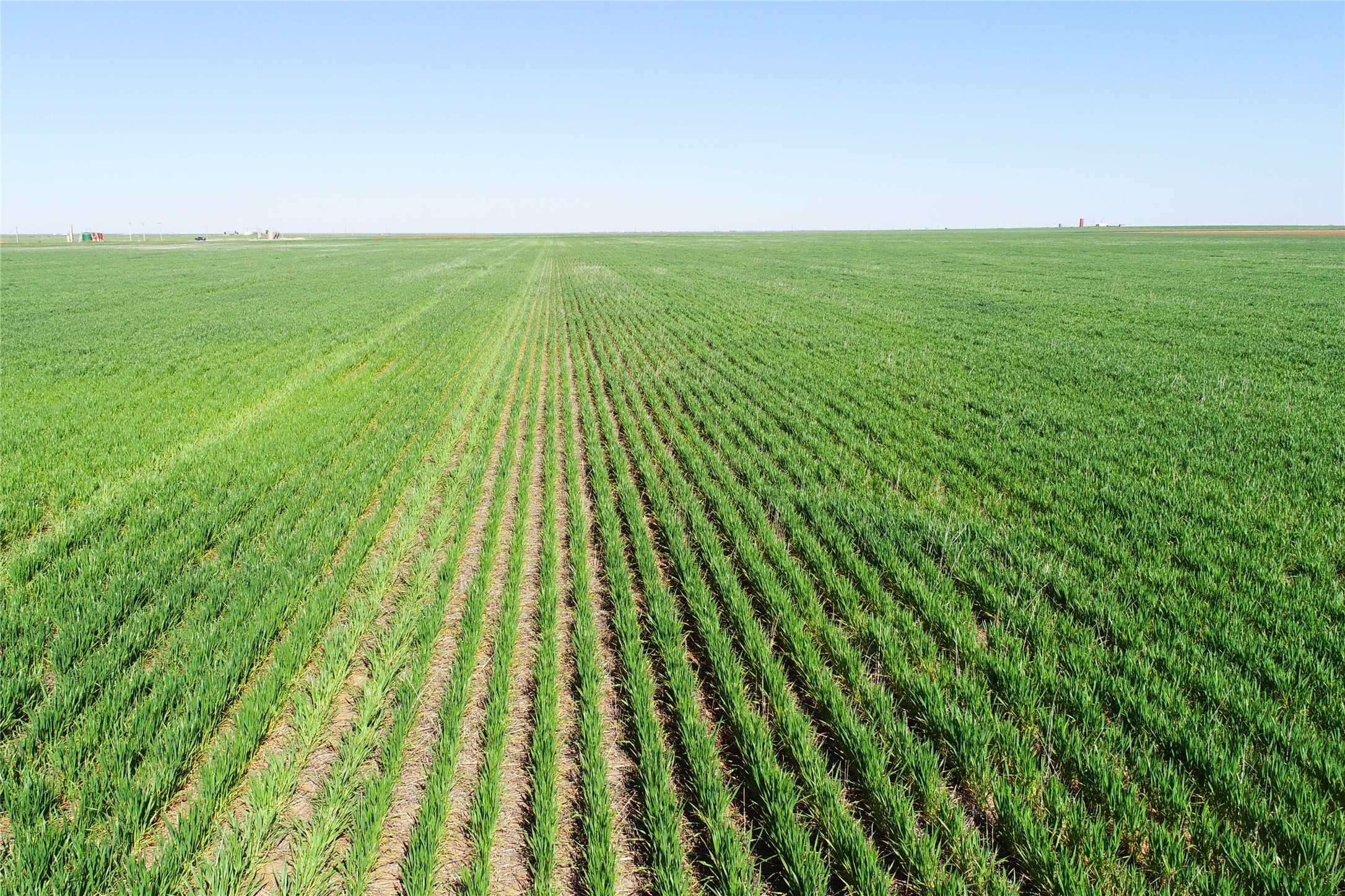 Tbd County Rd 81 S Vernon TX 76384