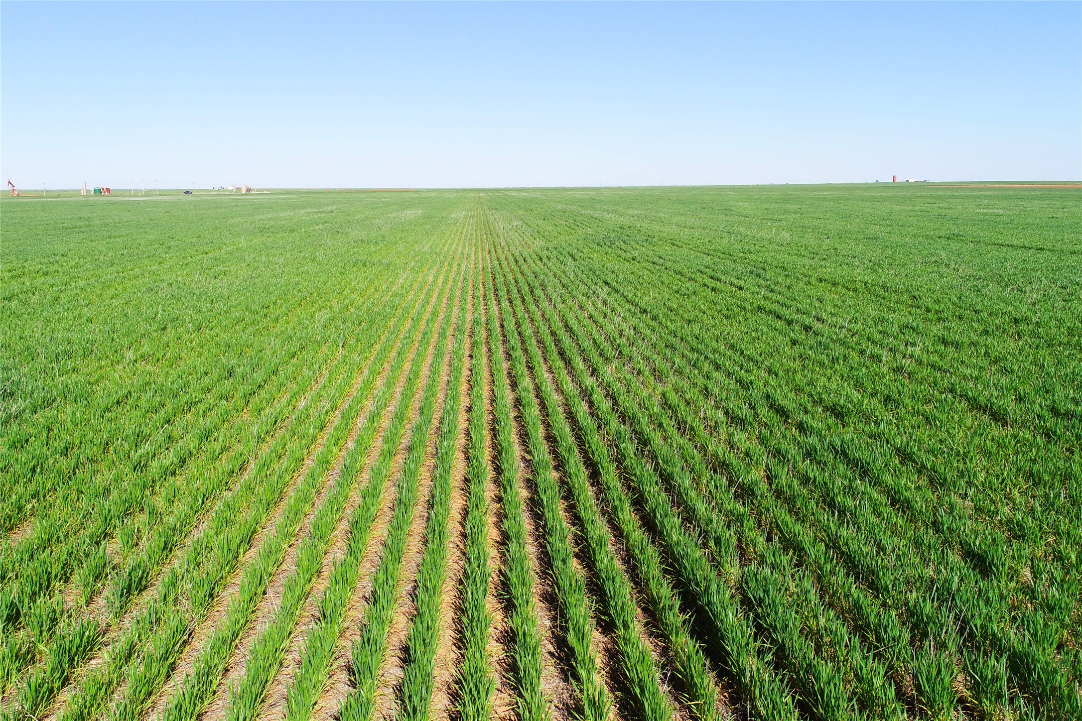 Tbd County Rd 81 S Vernon TX 76384