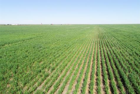 Tbd County Rd 81 S Vernon TX 76384
