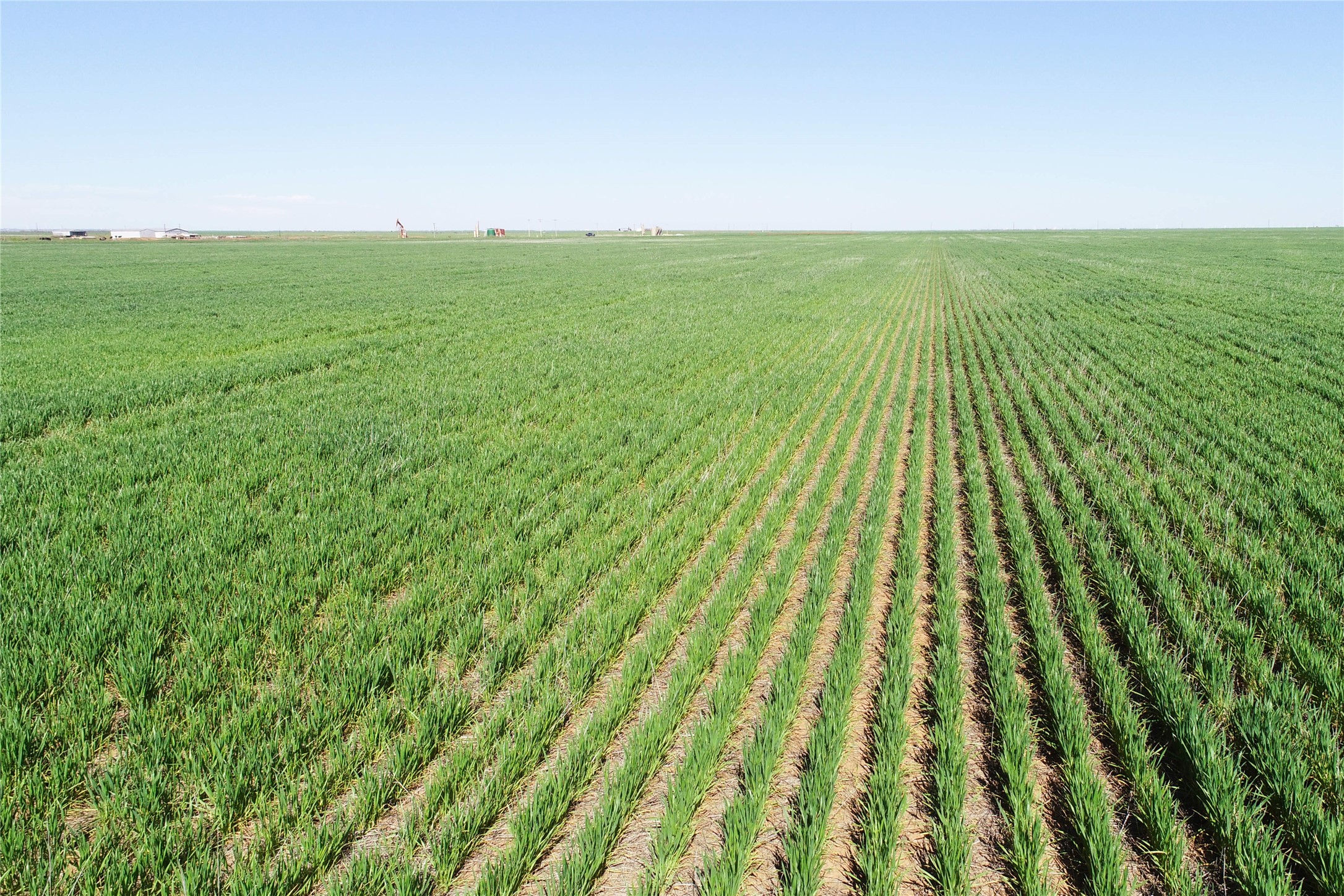 Tbd County Rd 81 S Vernon TX 76384