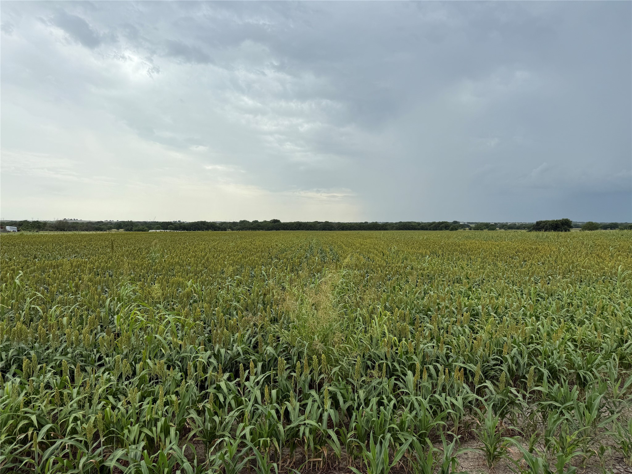 000 County Road 237 Gainesville TX 76240