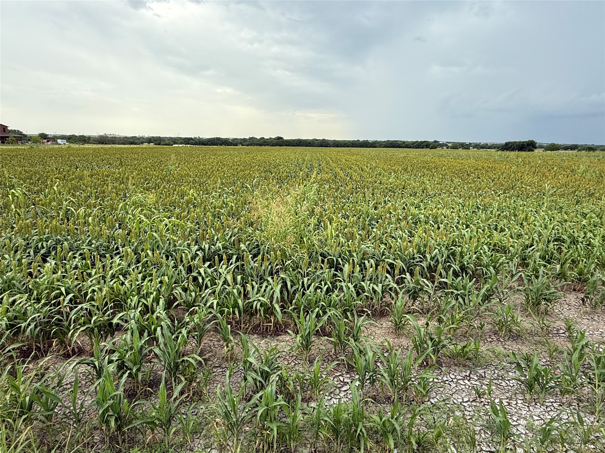 000 County Road 237 Gainesville TX 76240