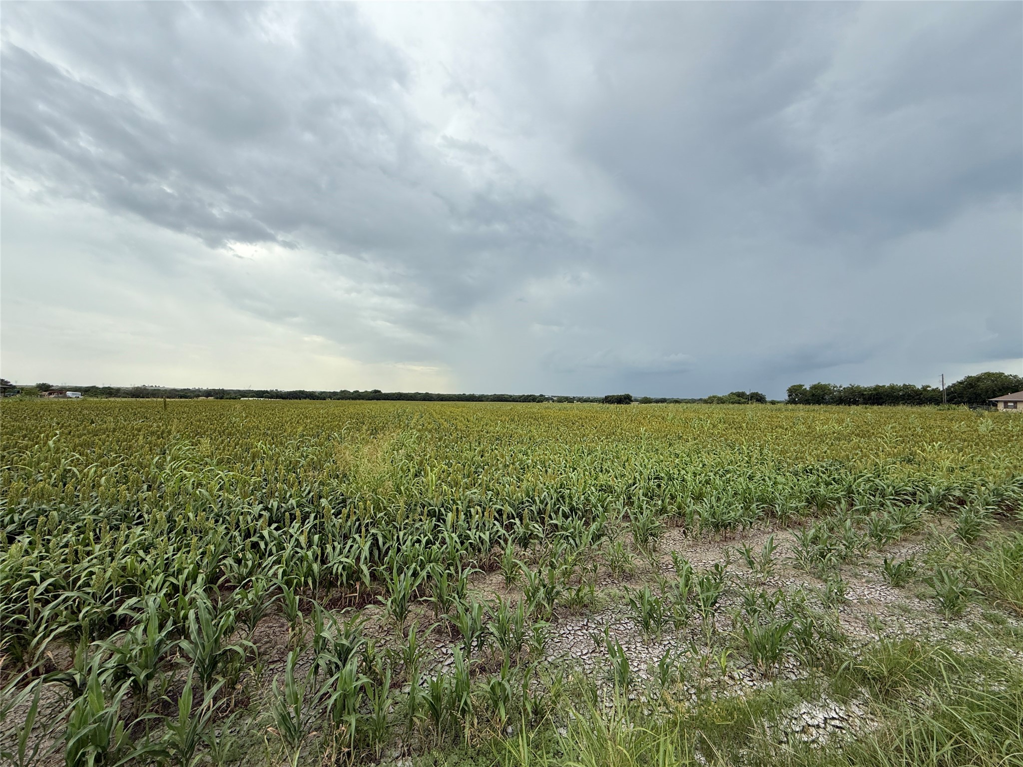 000 County Road 237 Gainesville TX 76240