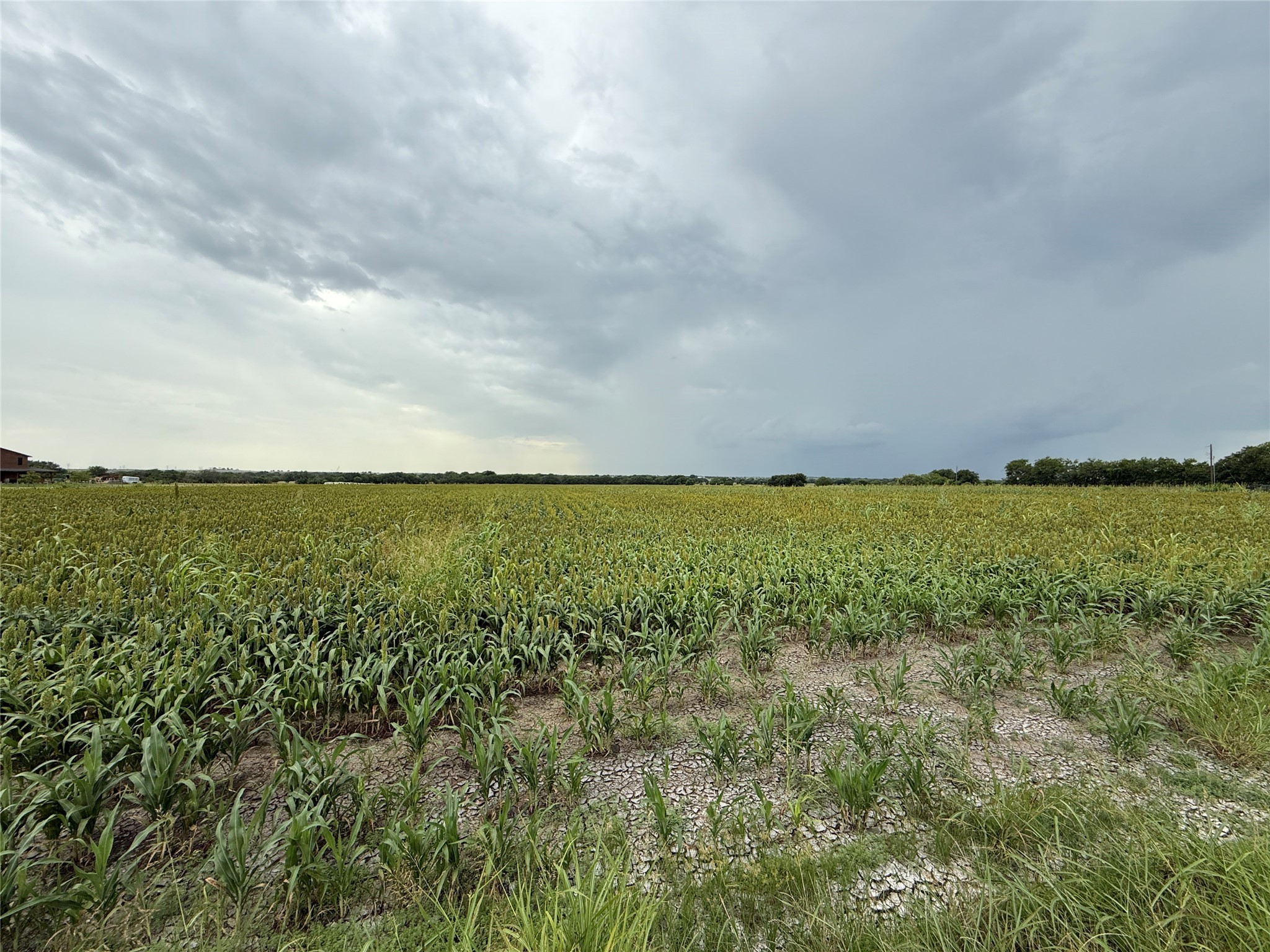 000 County Road 237 Gainesville TX 76240
