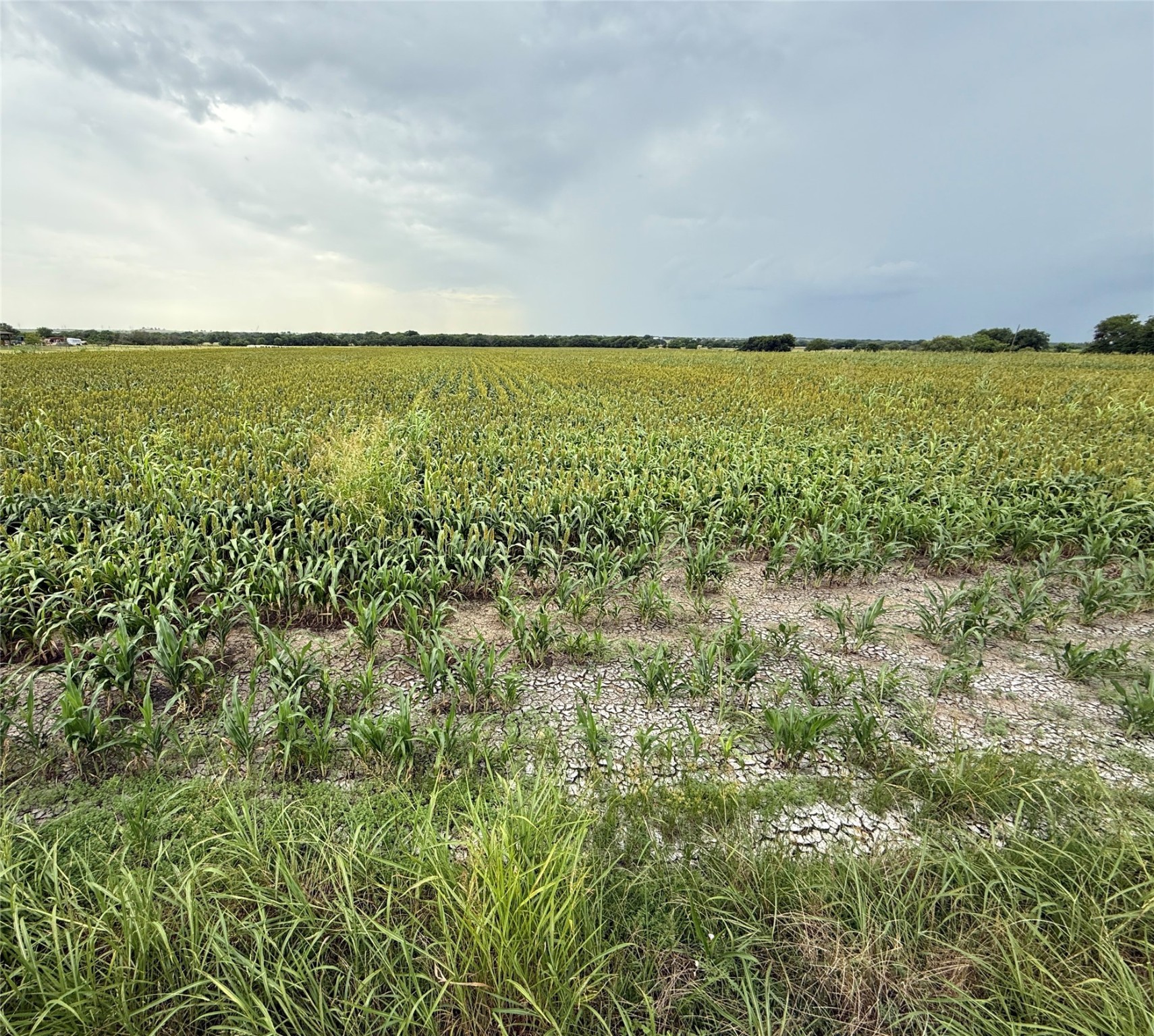 000 County Road 237 Gainesville TX 76240