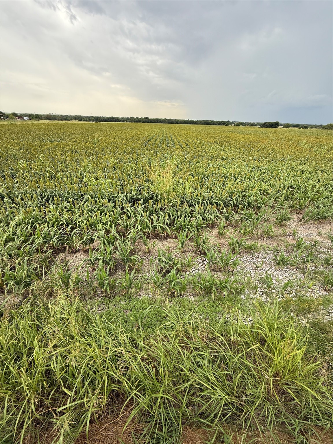 000 County Road 237 Gainesville TX 76240