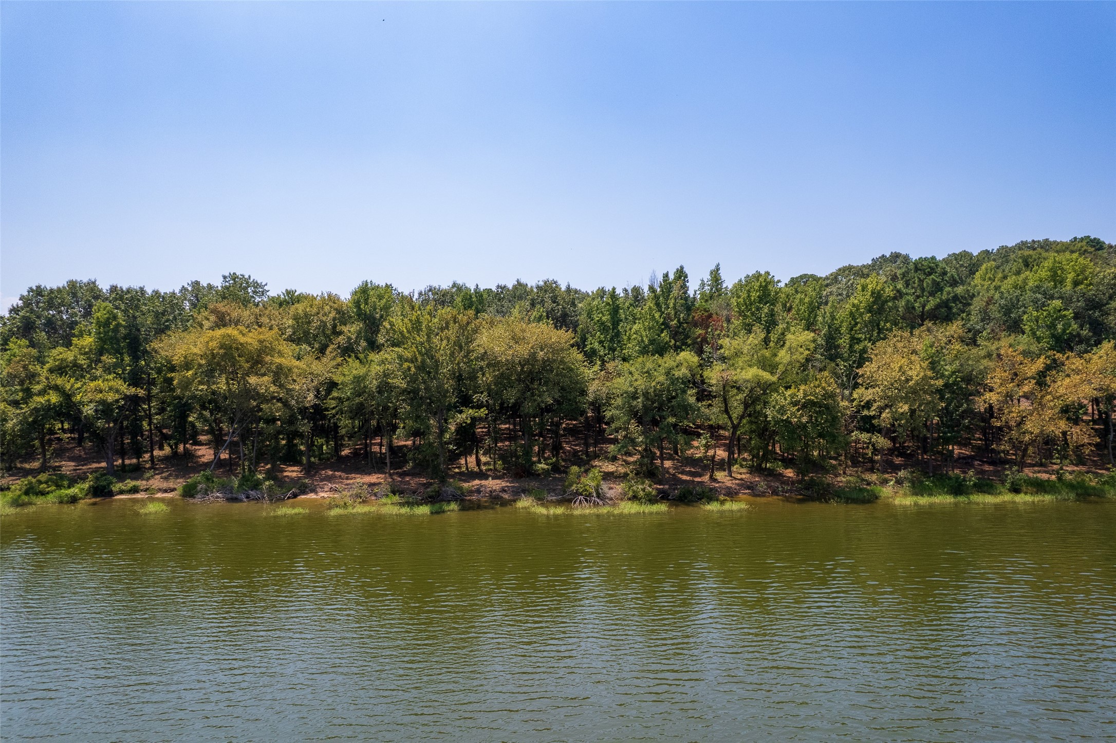 Tbd Private Road 52447 Leesburg TX 75451