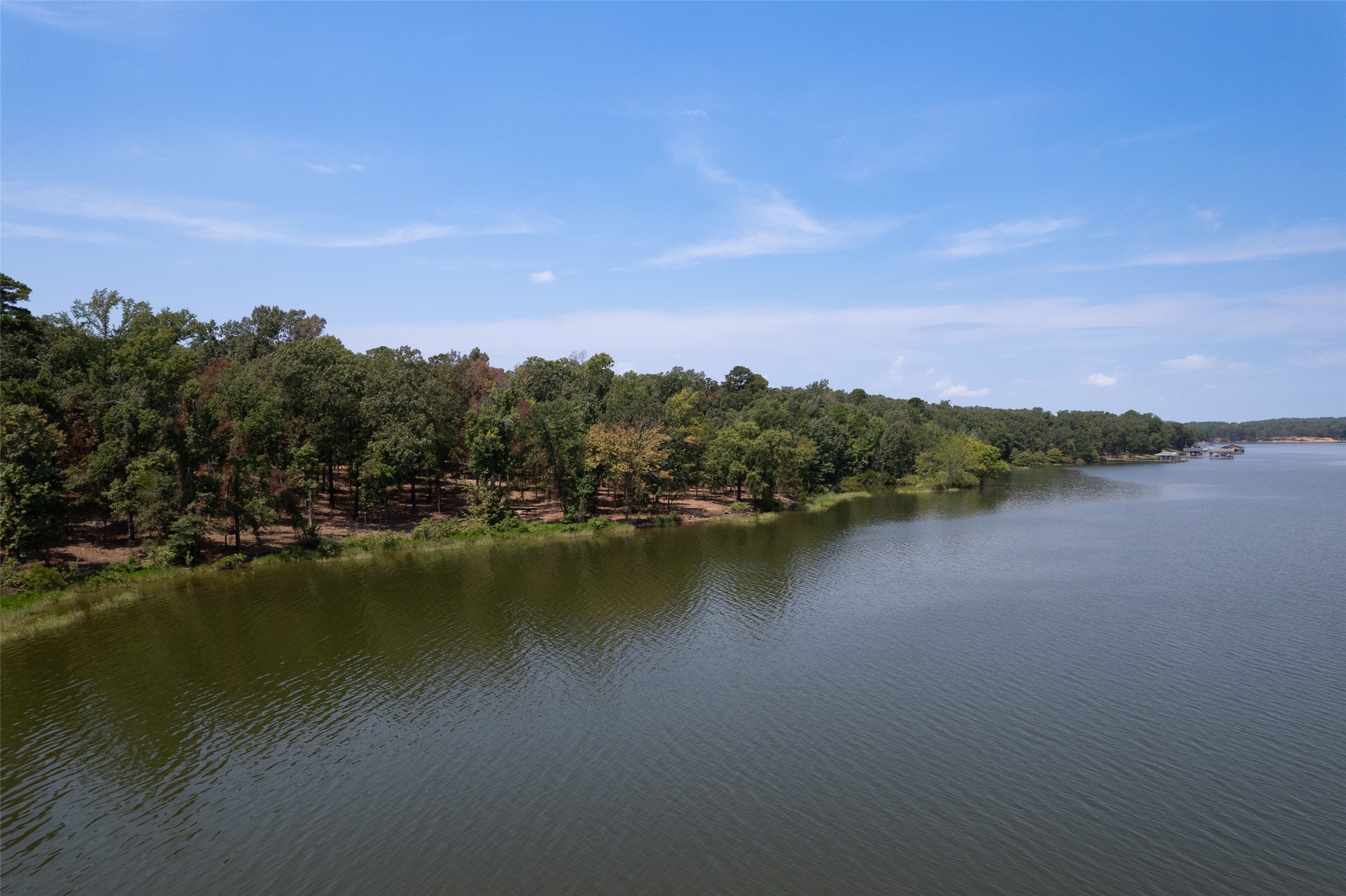 Tbd Private Road 52447 Leesburg TX 75451