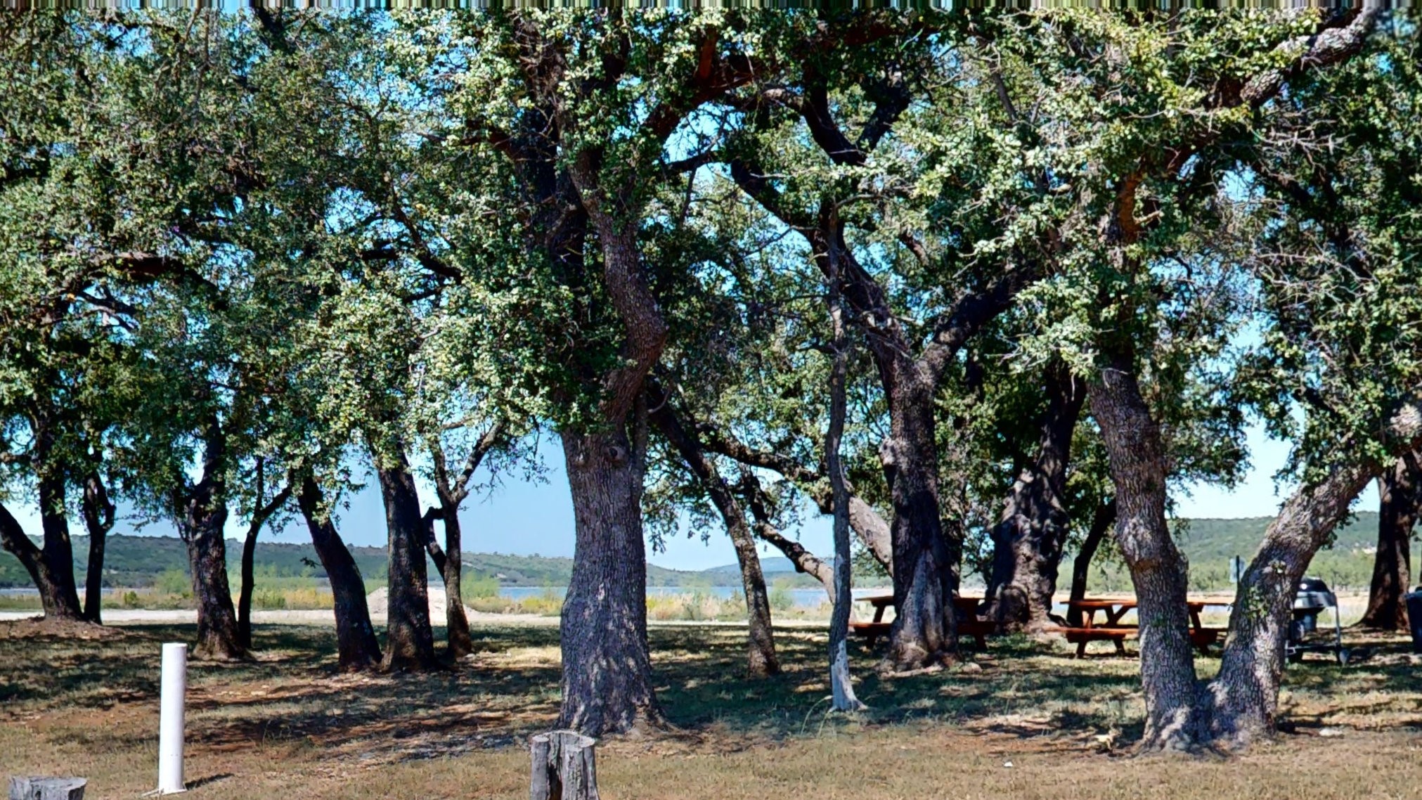 Lot 361 Canyon Wren Loop Possum Kingdom Lake TX 76449