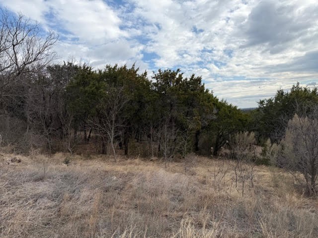 Lot 361 Canyon Wren Loop Possum Kingdom Lake TX 76449