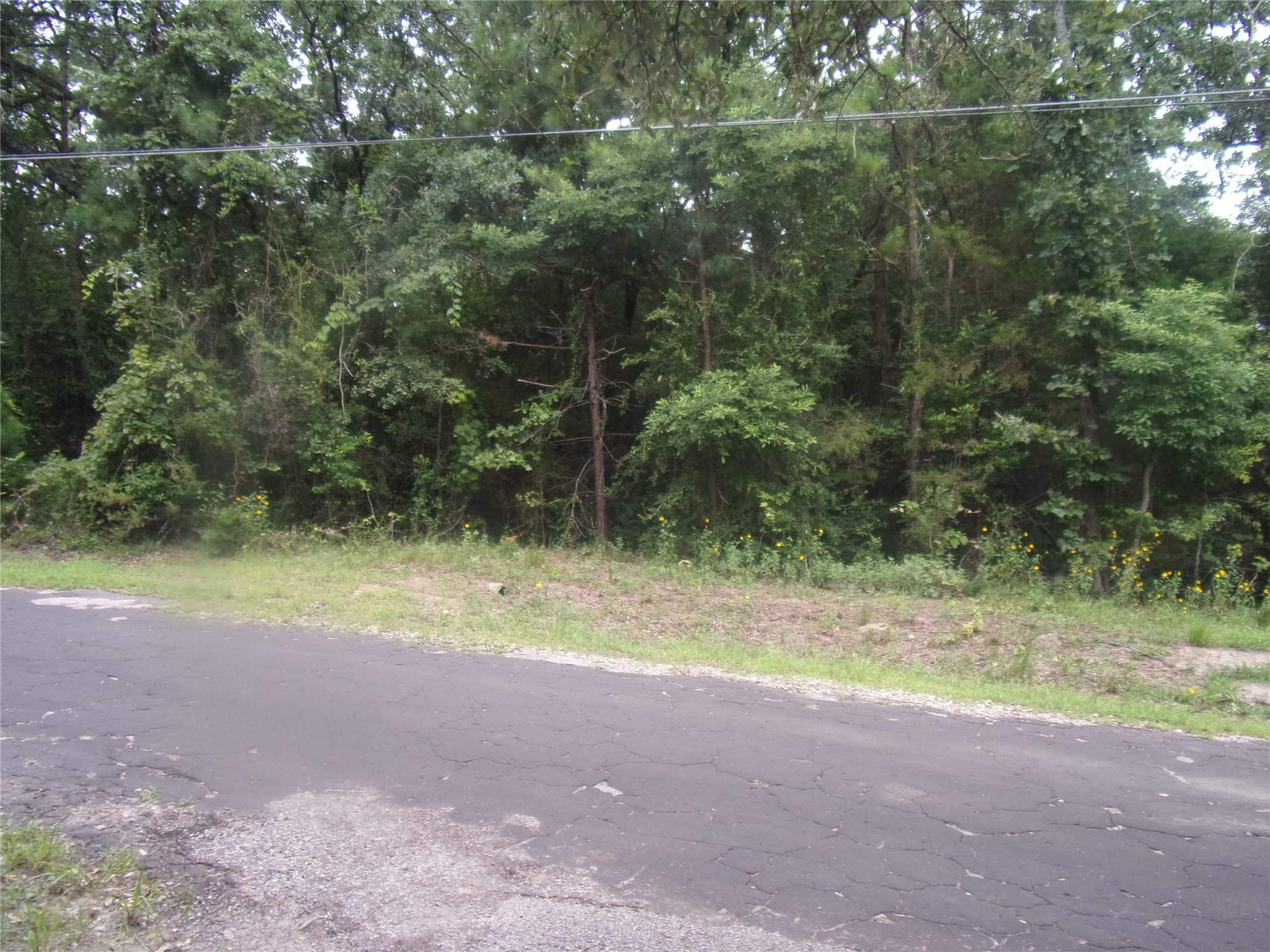 Tbd Holly Glen Murchison TX 75778