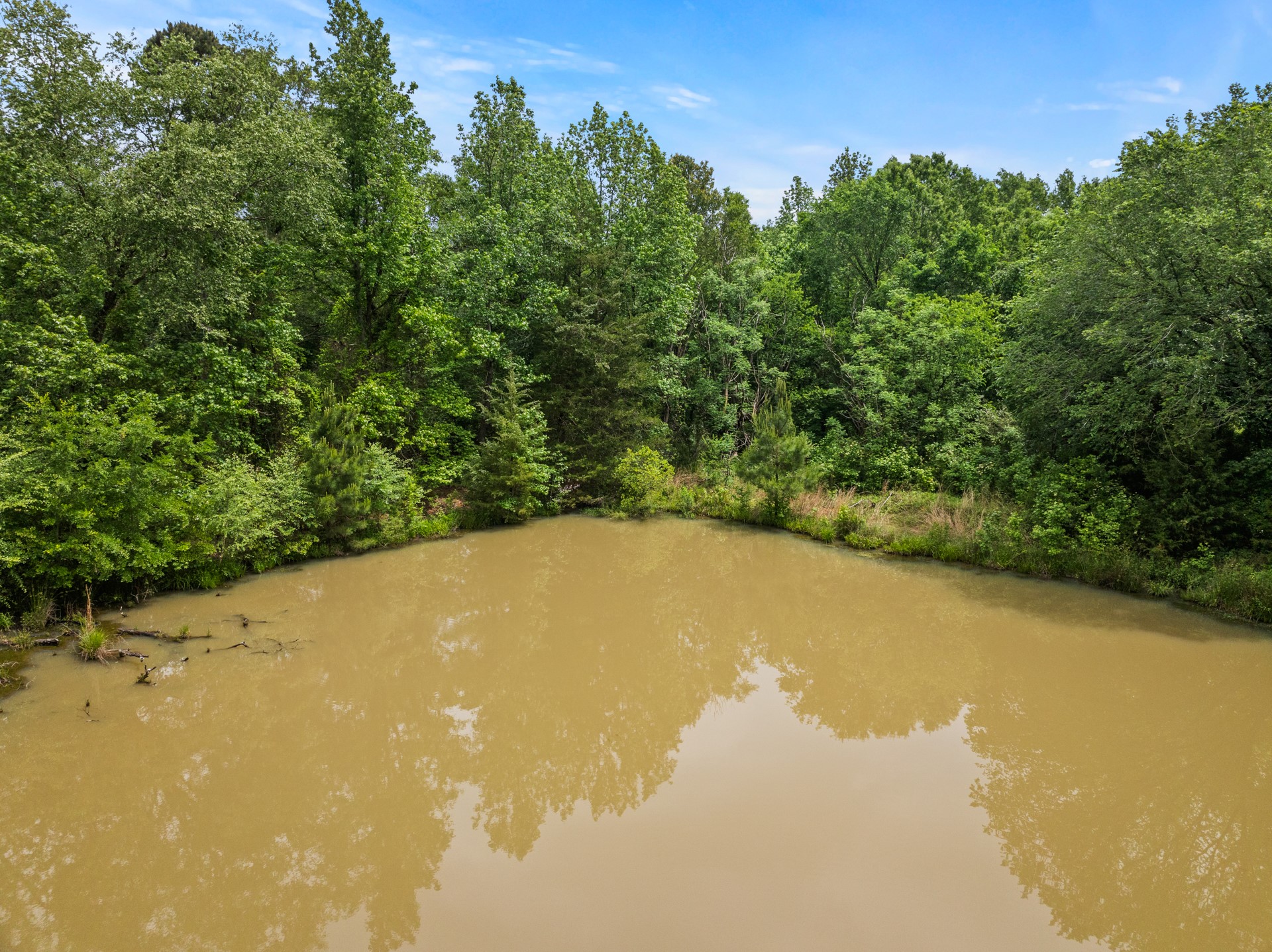 000 County Road 3322 Pittsburg TX 75686