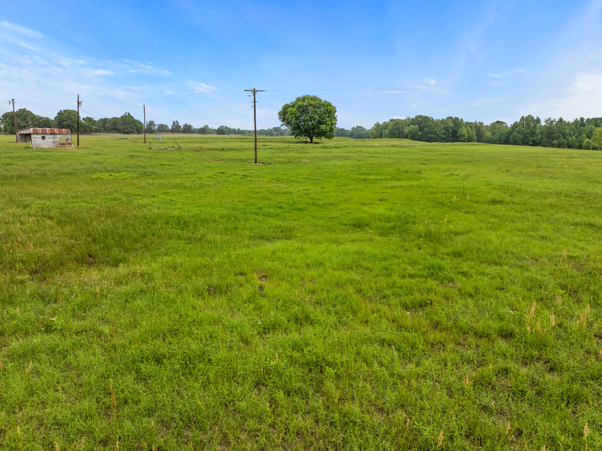 000 County Road 3322 Pittsburg TX 75686