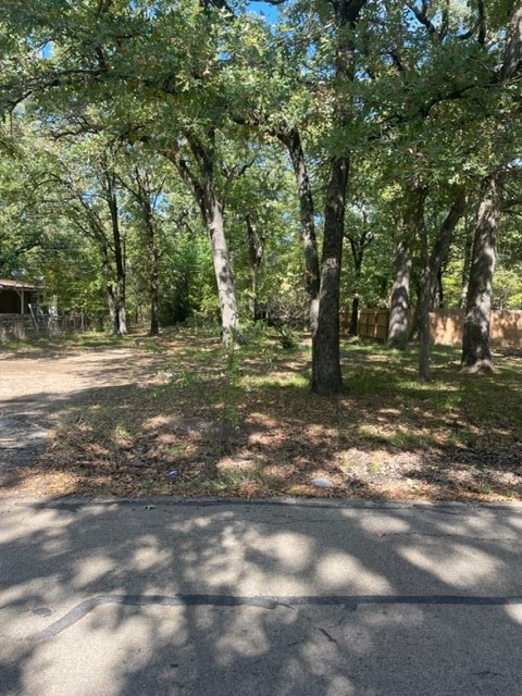 124 Willowood Drive Gun Barrel City TX 75156
