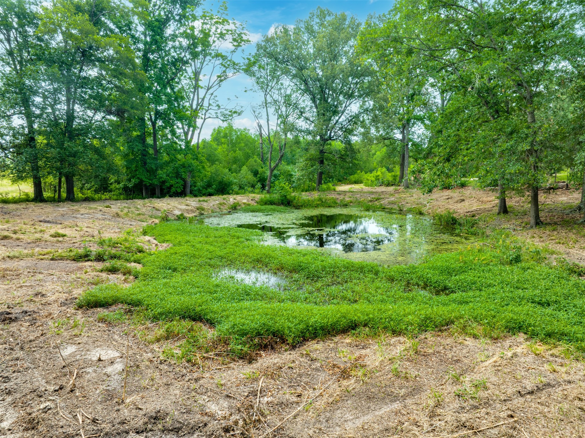 20273 Hwy 37 S Bogata TX 75417