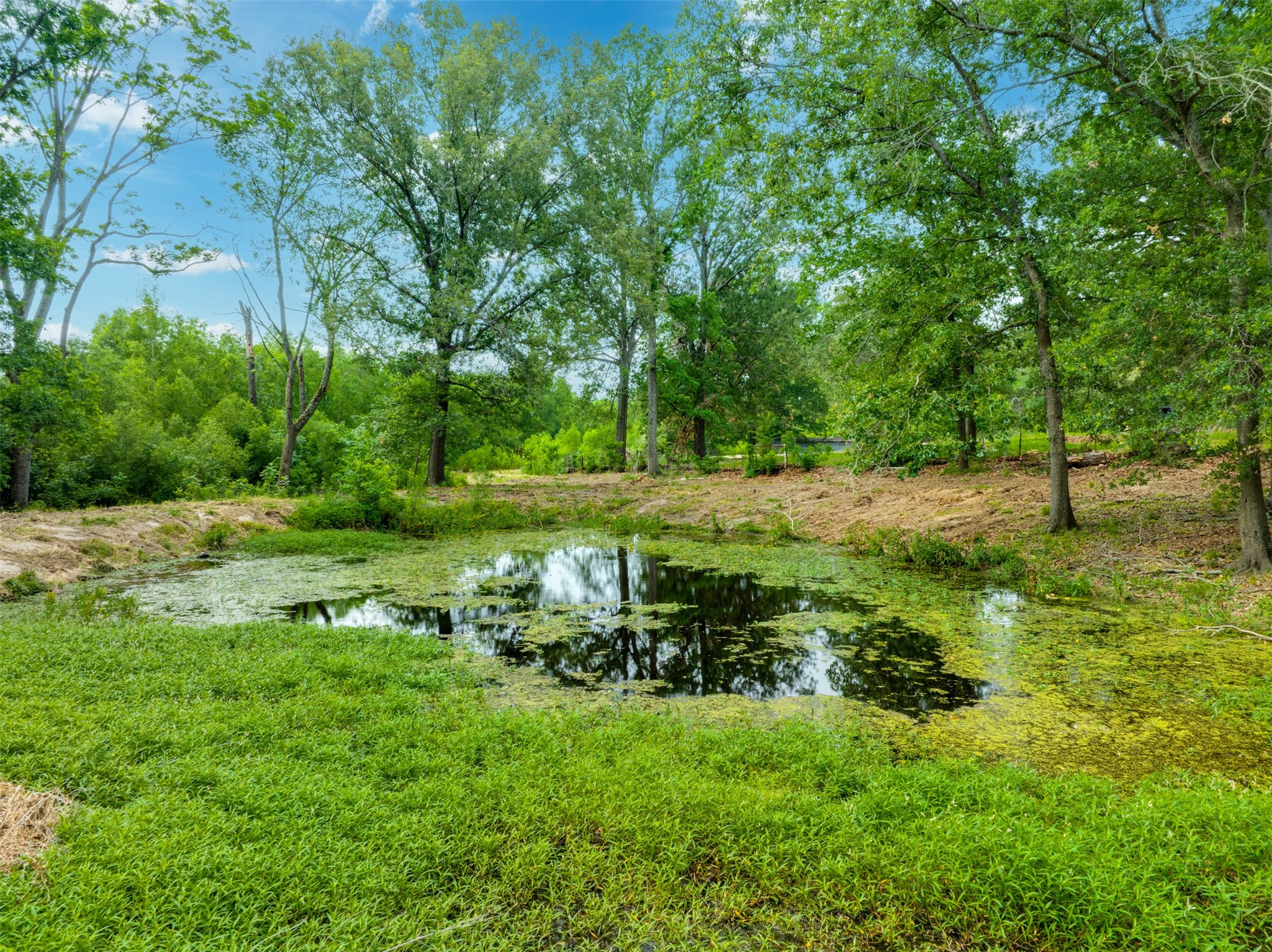 20273 Hwy 37 S Bogata TX 75417