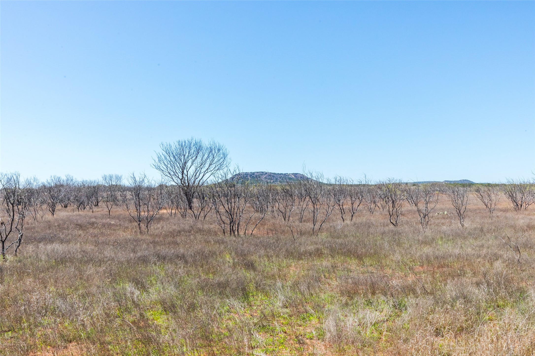 T.b.d. Fm 614 Ovalo TX 79541