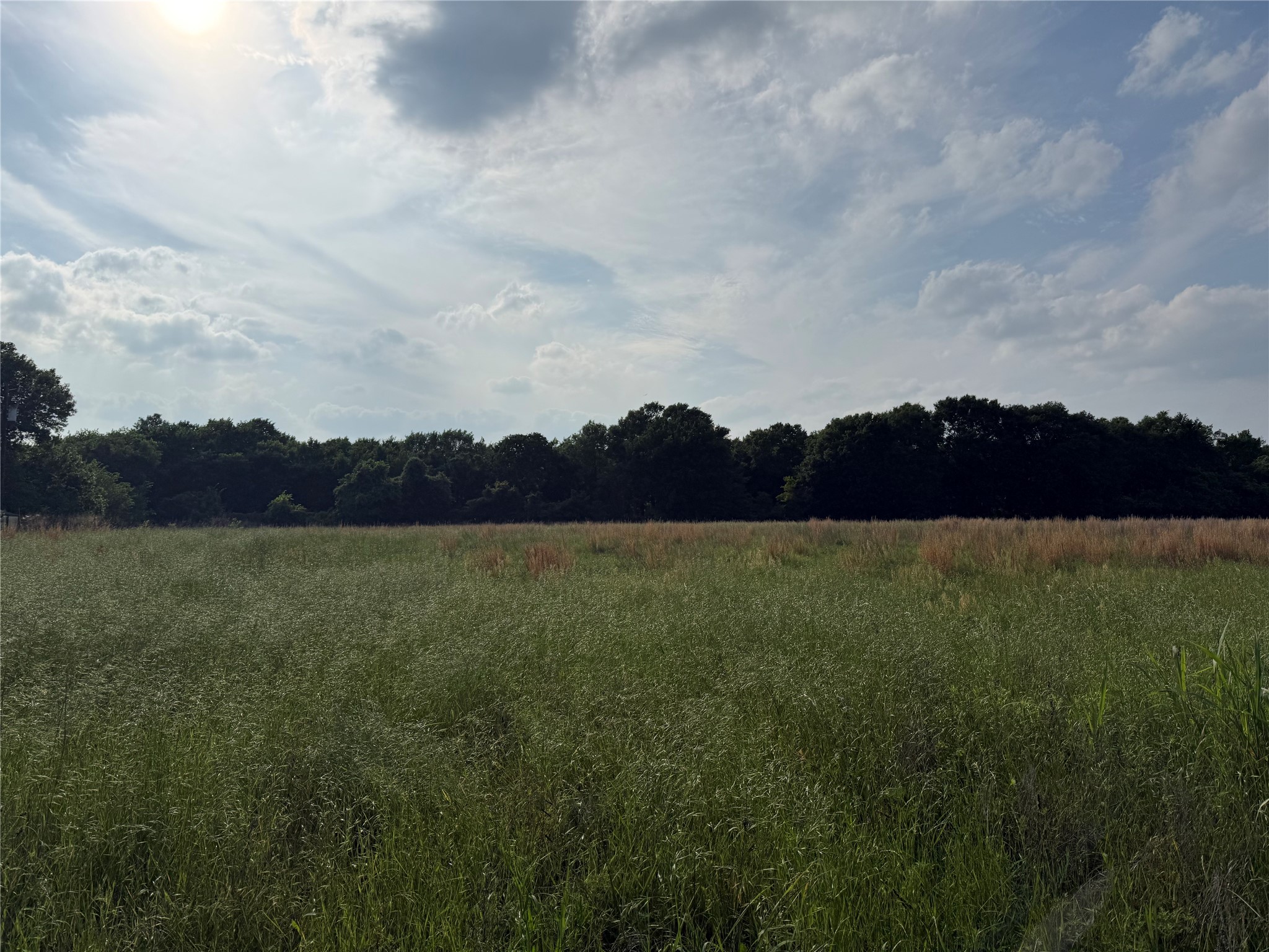 Lot 2 County Road 4072 Kemp TX 75143