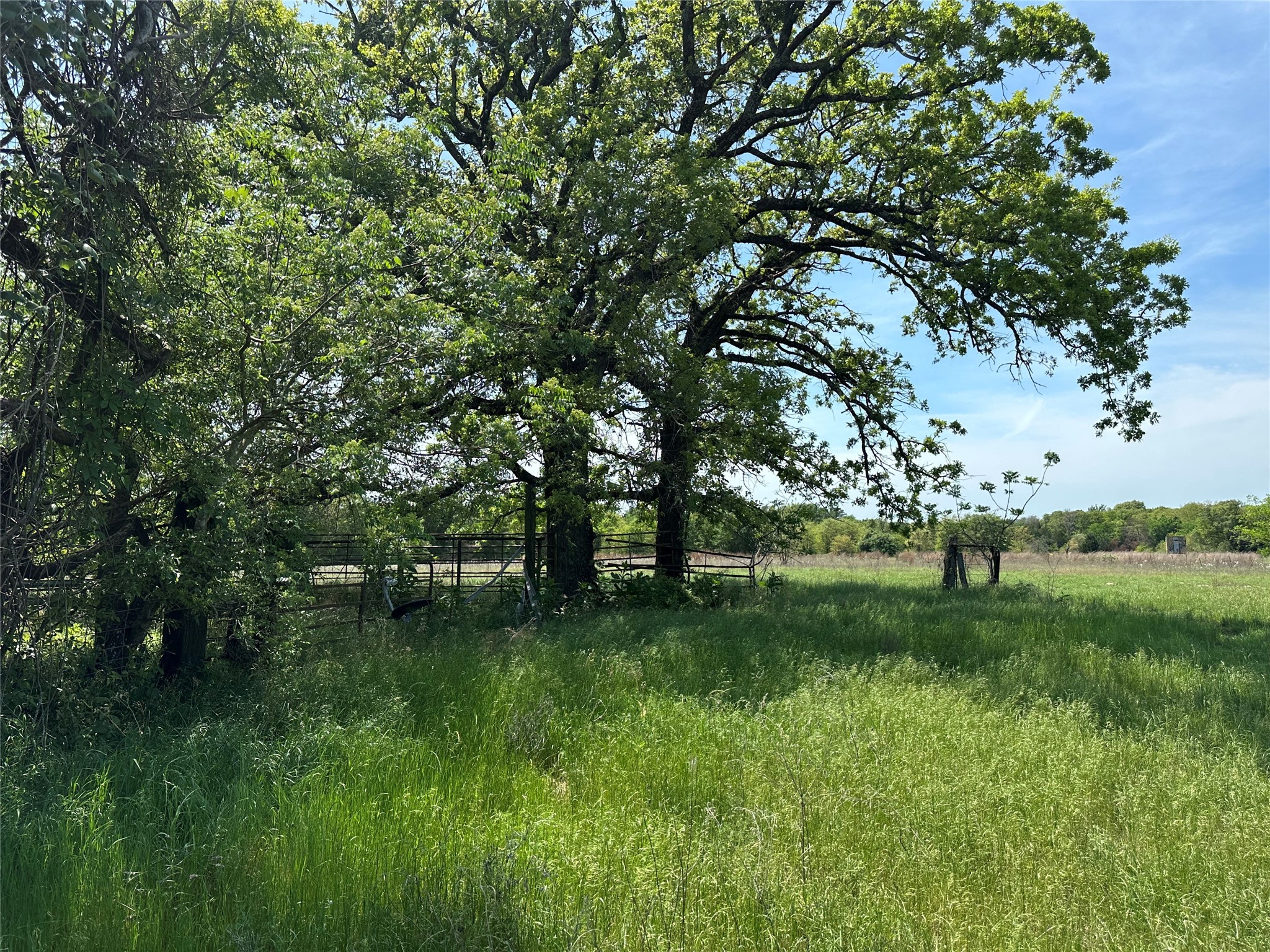 Tbd Spur 937 Teague TX 75860