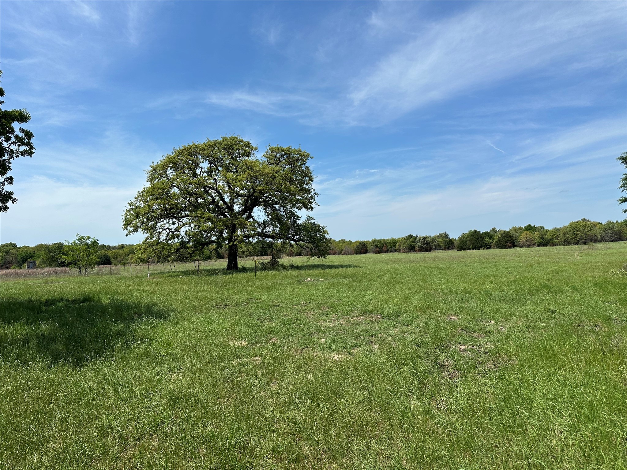 Tbd Spur 937 Teague TX 75860