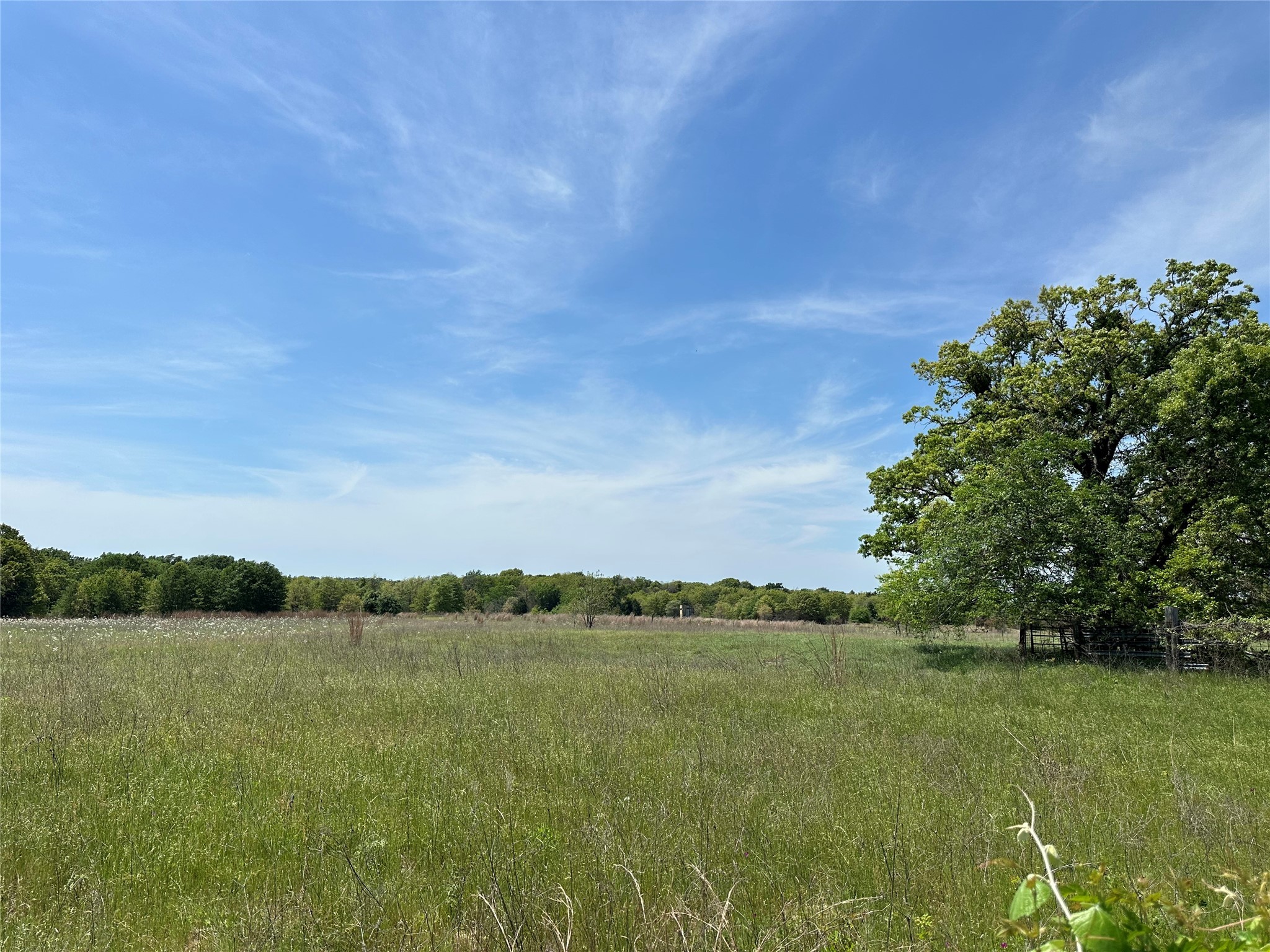 Tbd Spur 937 Teague TX 75860