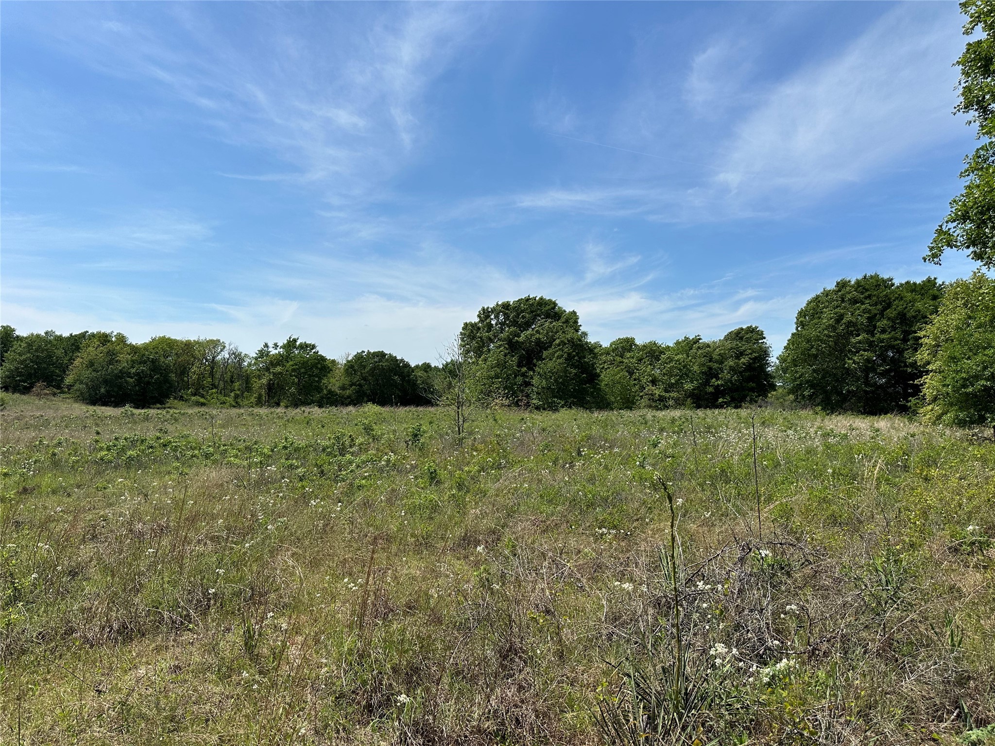 Tbd Spur 937 Teague TX 75860