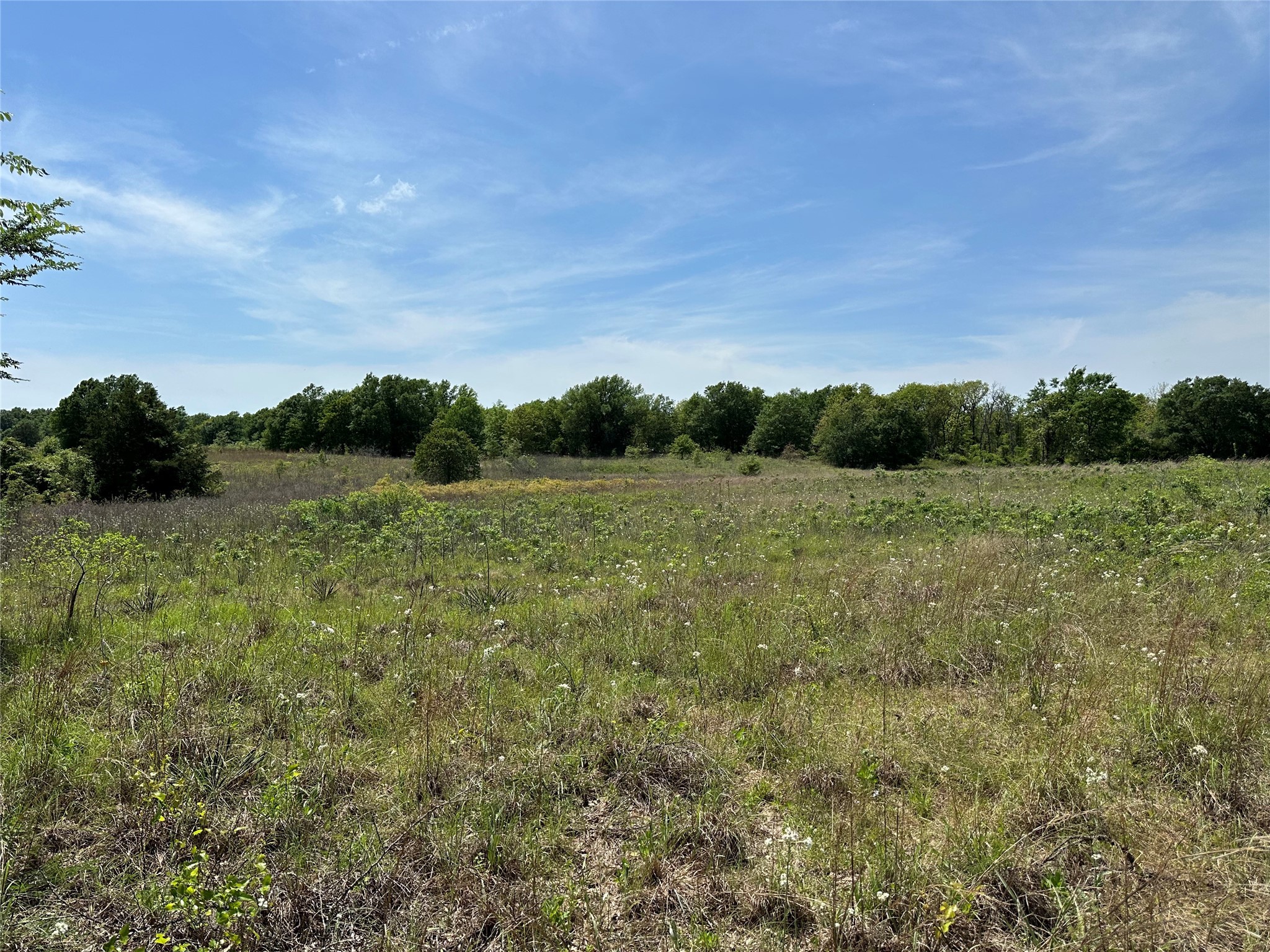 Tbd Spur 937 Teague TX 75860