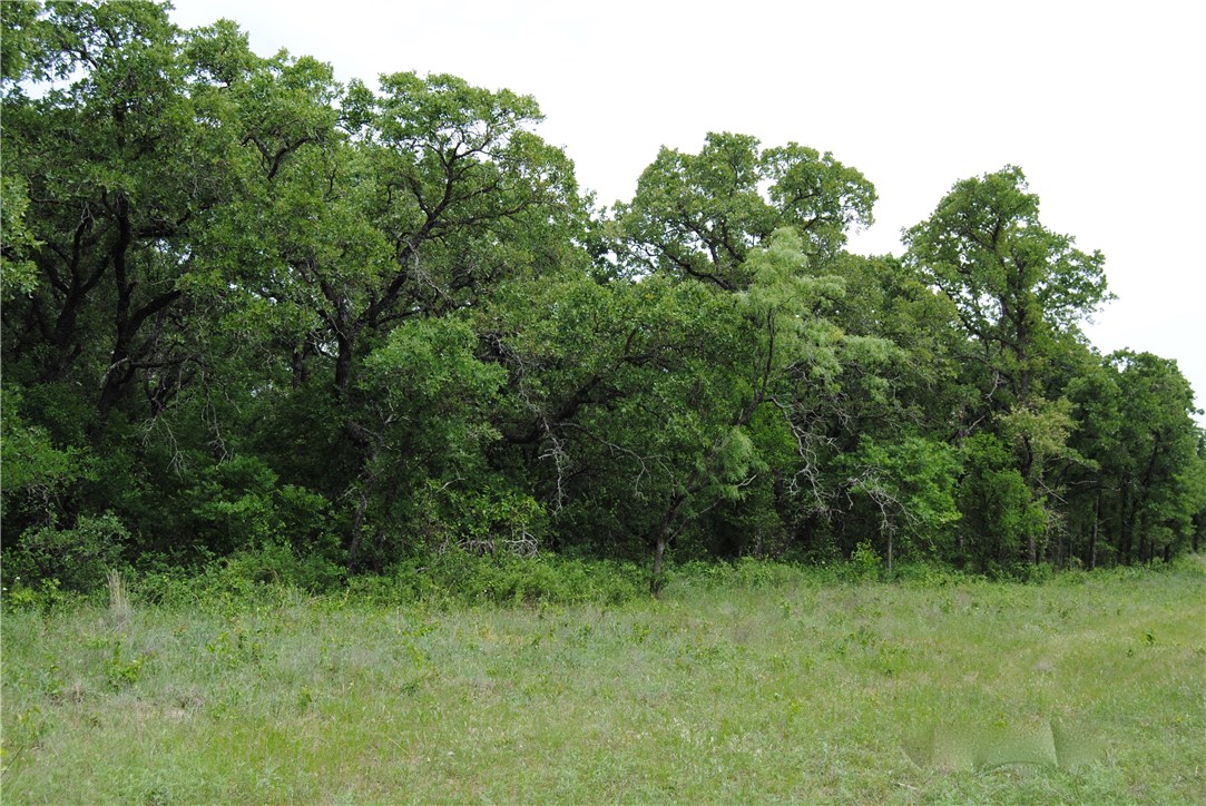 9 R1 Fm 2123 Paradise TX 76073