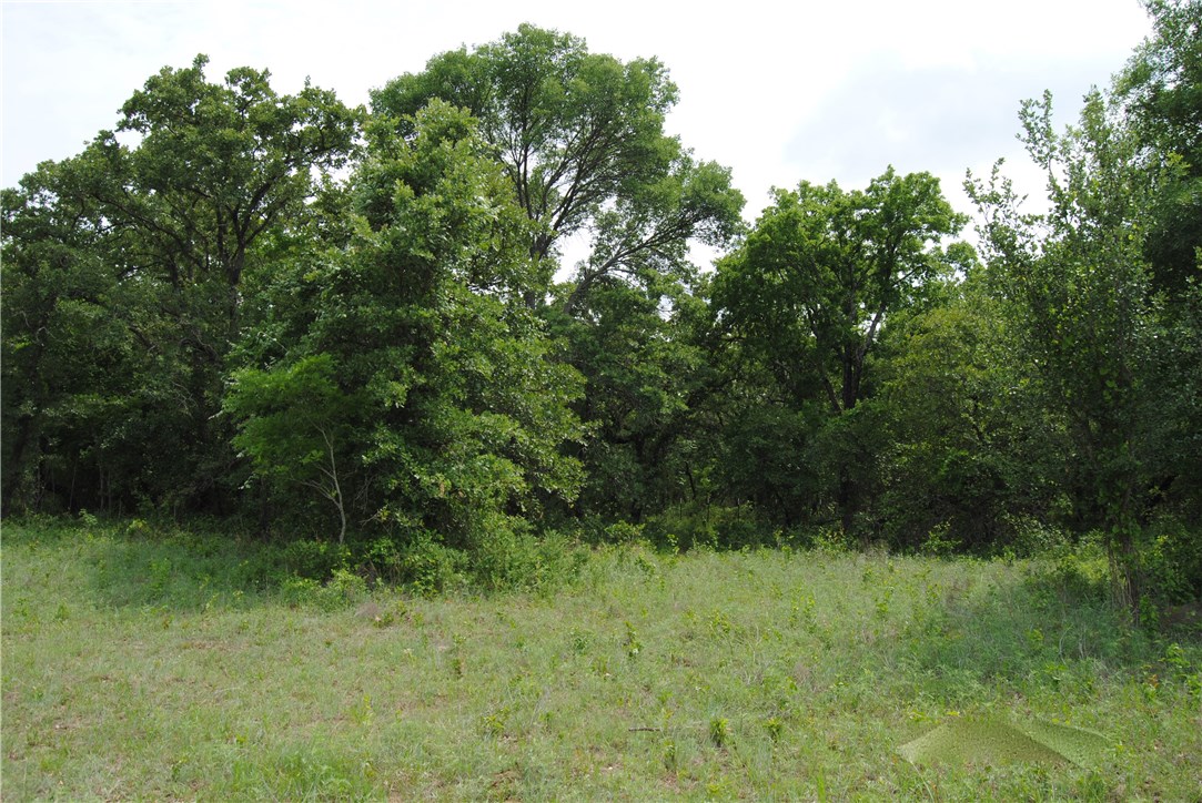 9 R1 Fm 2123 Paradise TX 76073
