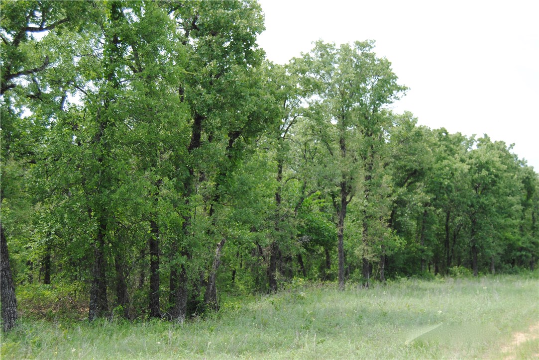9 R1 Fm 2123 Paradise TX 76073