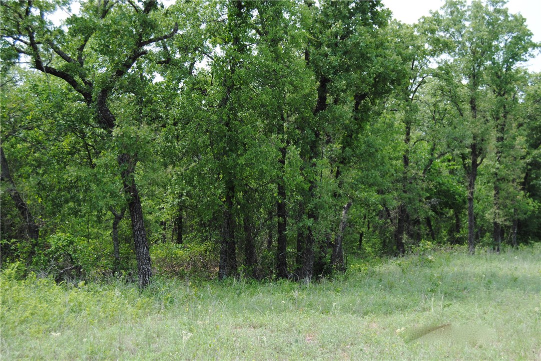 9 R1 Fm 2123 Paradise TX 76073