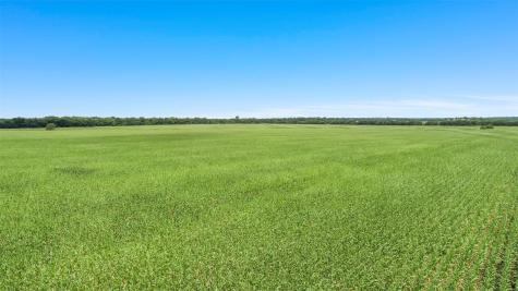104.98 Acres Cr-1067 Greenville TX 75401