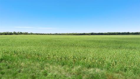104.98 Acres Cr-1067 Greenville TX 75401