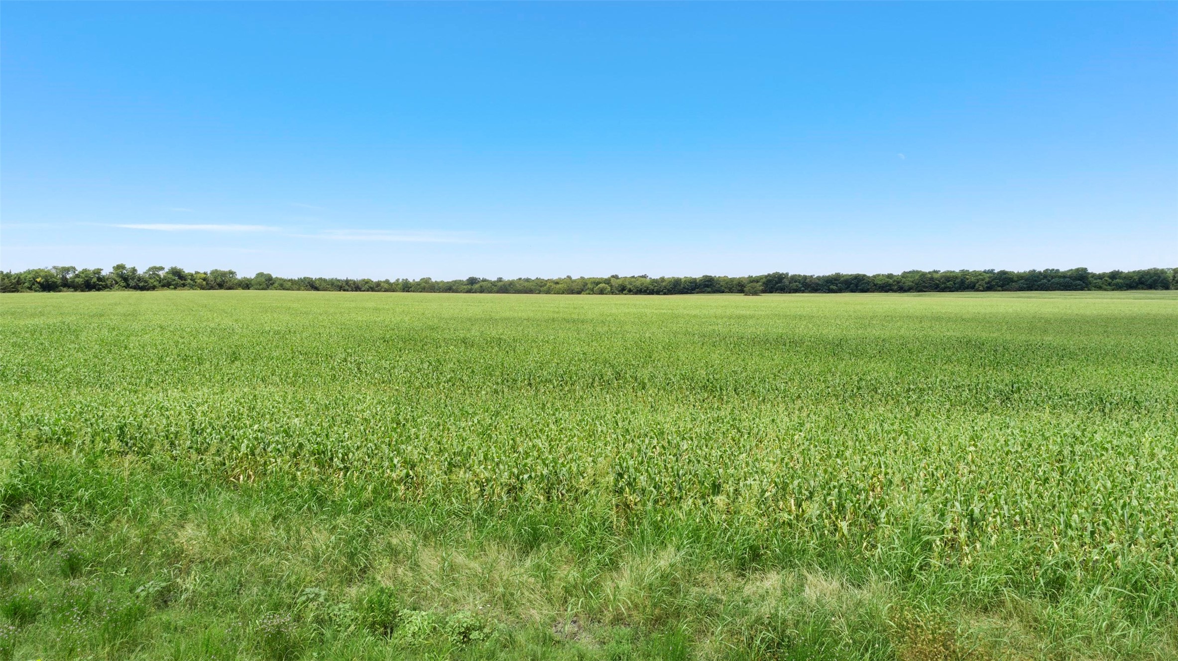 104.98 Acres Cr-1067 Greenville TX 75401
