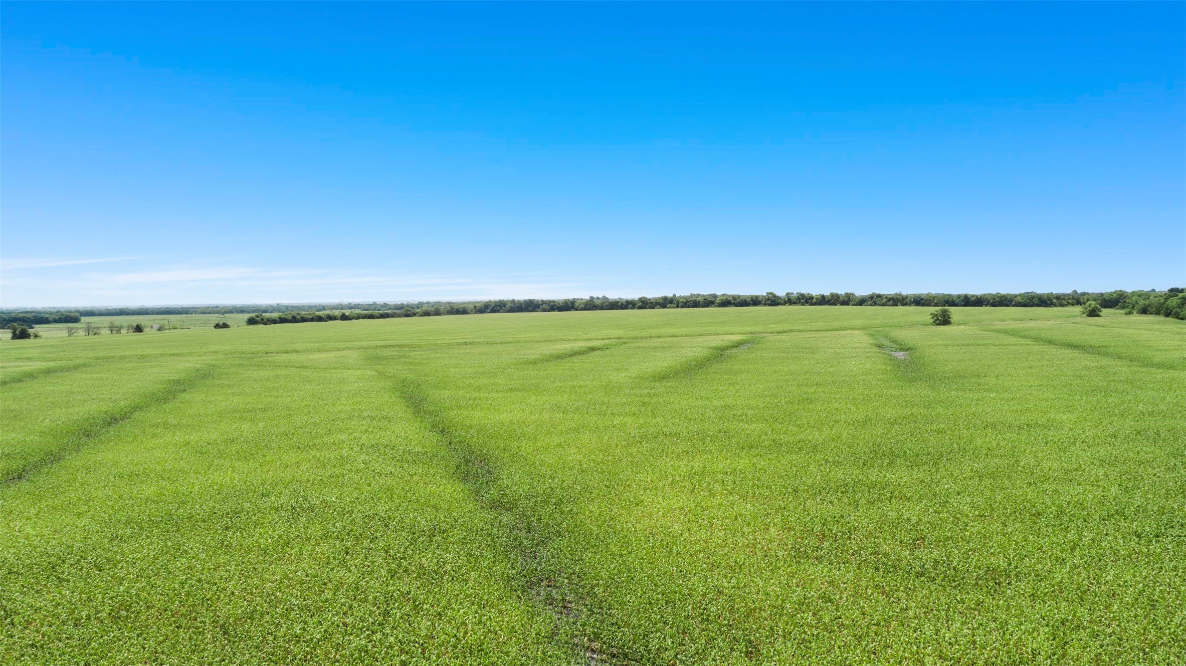 104.98 Acres Cr-1067 Greenville TX 75401