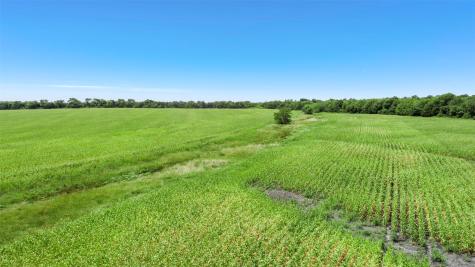 104.98 Acres Cr-1067 Greenville TX 75401